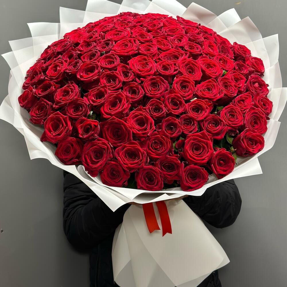 101 Rose Ekvador