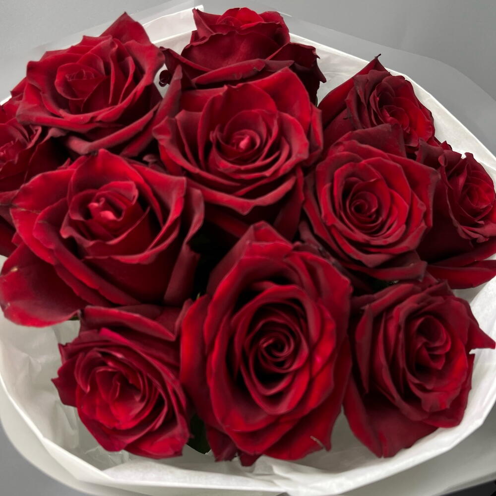 Красные розы 🌹 в упаковке с лентой ( 11 красных роз )