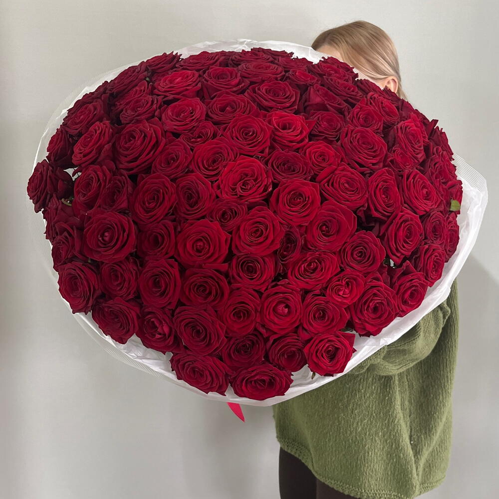 101 бордовая роза😍💋❣️