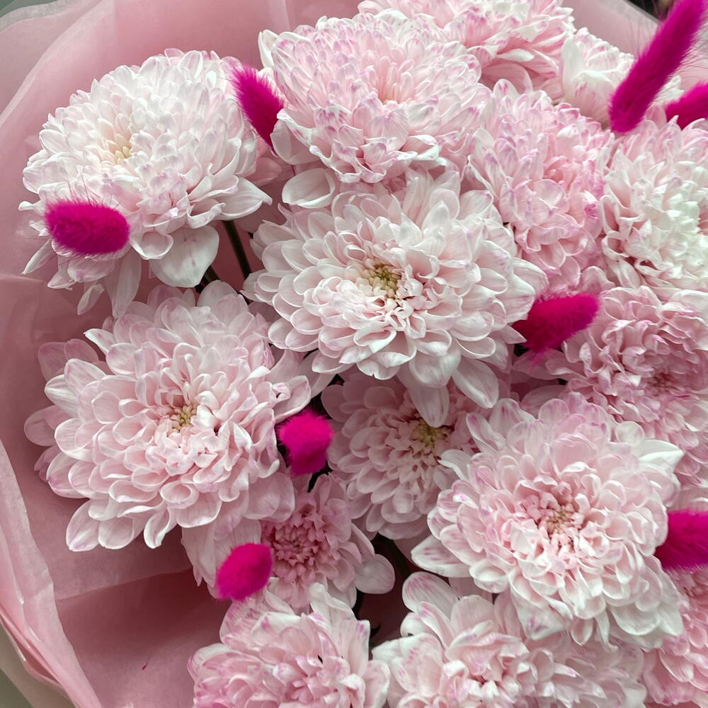 Нежно-розовое моно из хризантемы 💞