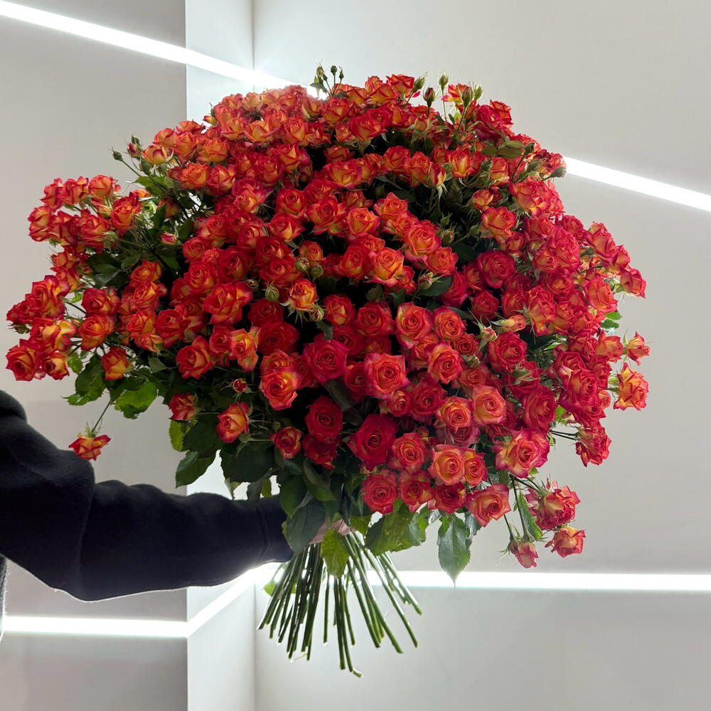 Orange spray rose