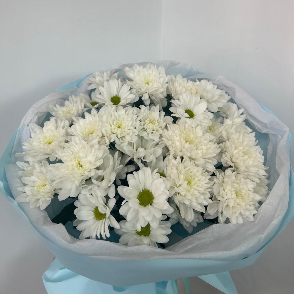 Хризантемы кустовые🩵🤍💐