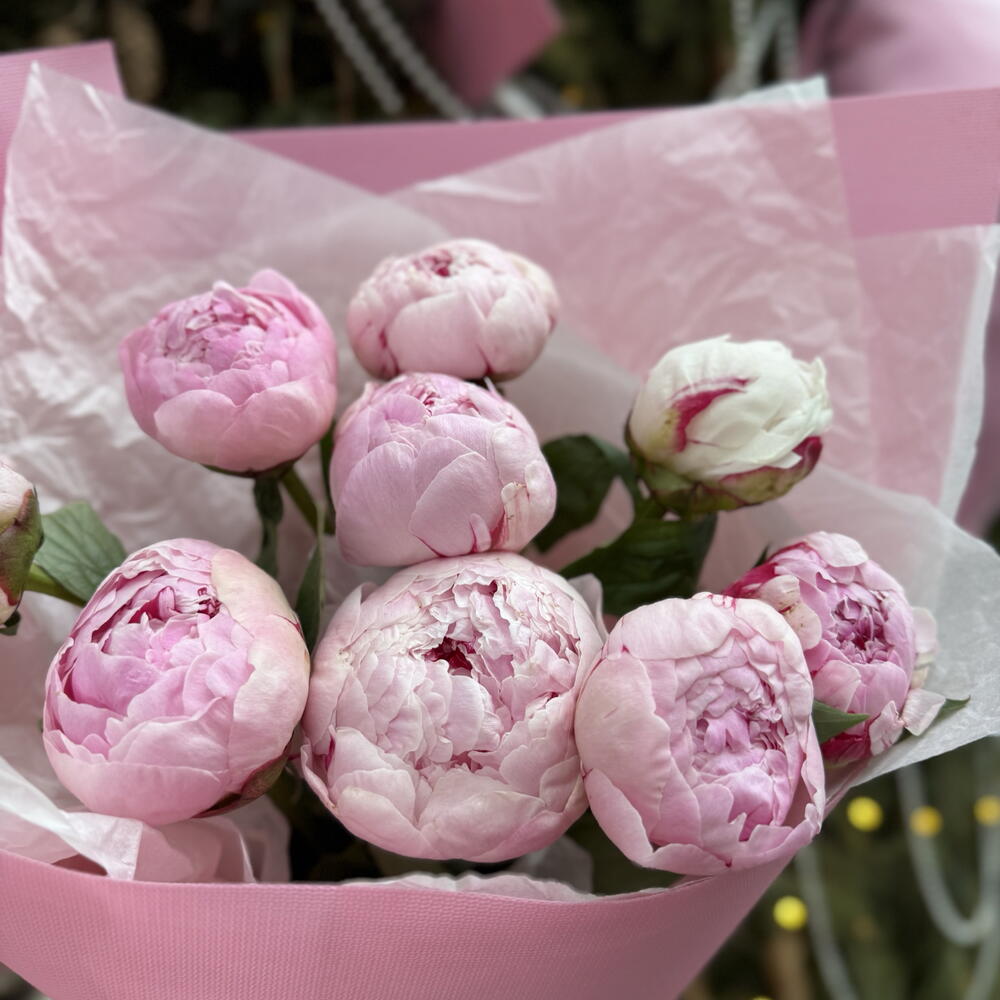 Букет из 9 пионов 🌷