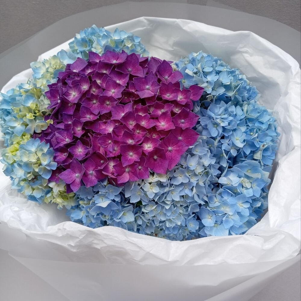 3 Hydrangea super FRESH Bouquet Букет 3  супер СВЕЖИХ гортензии