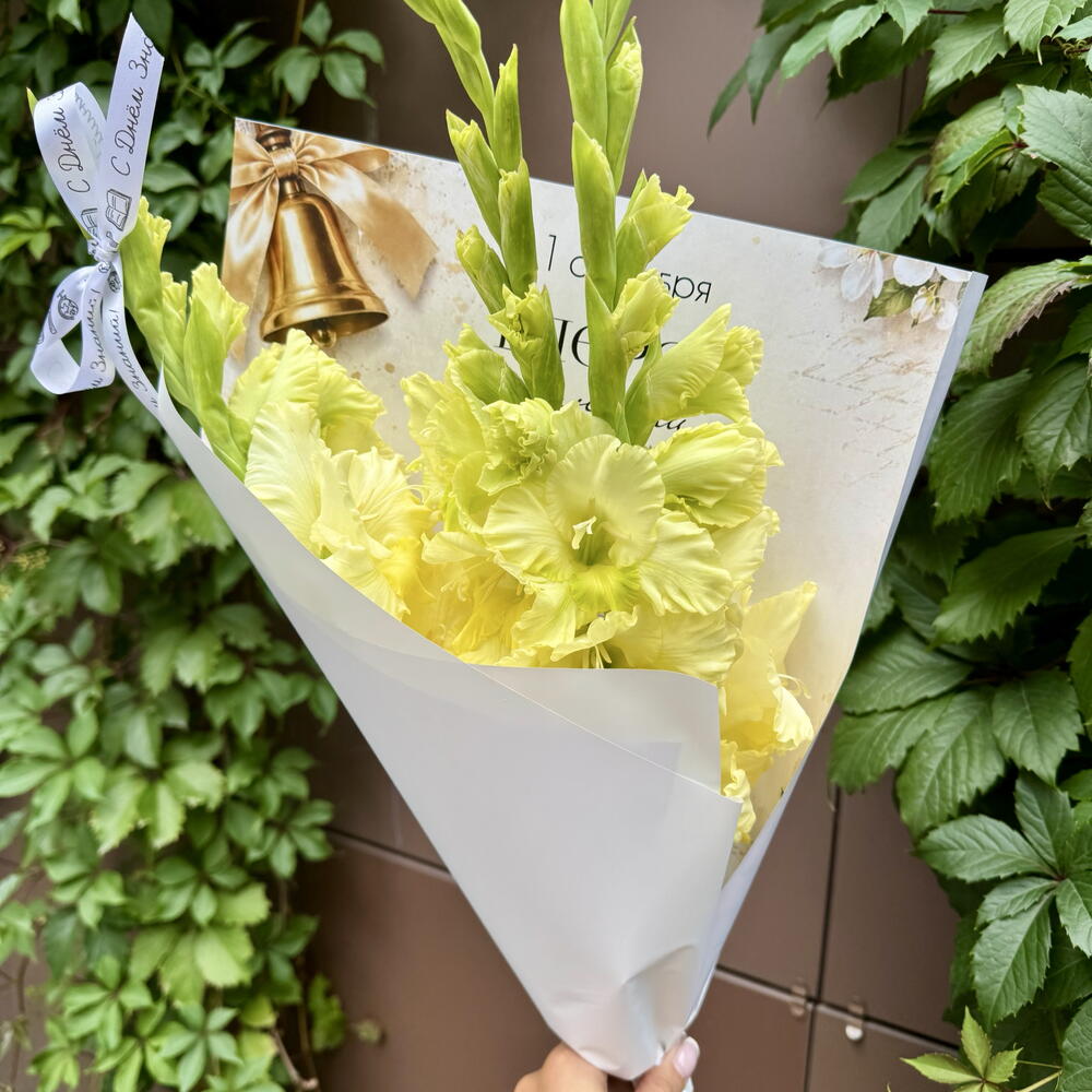 Гладиолусы на 1 сентября 💛