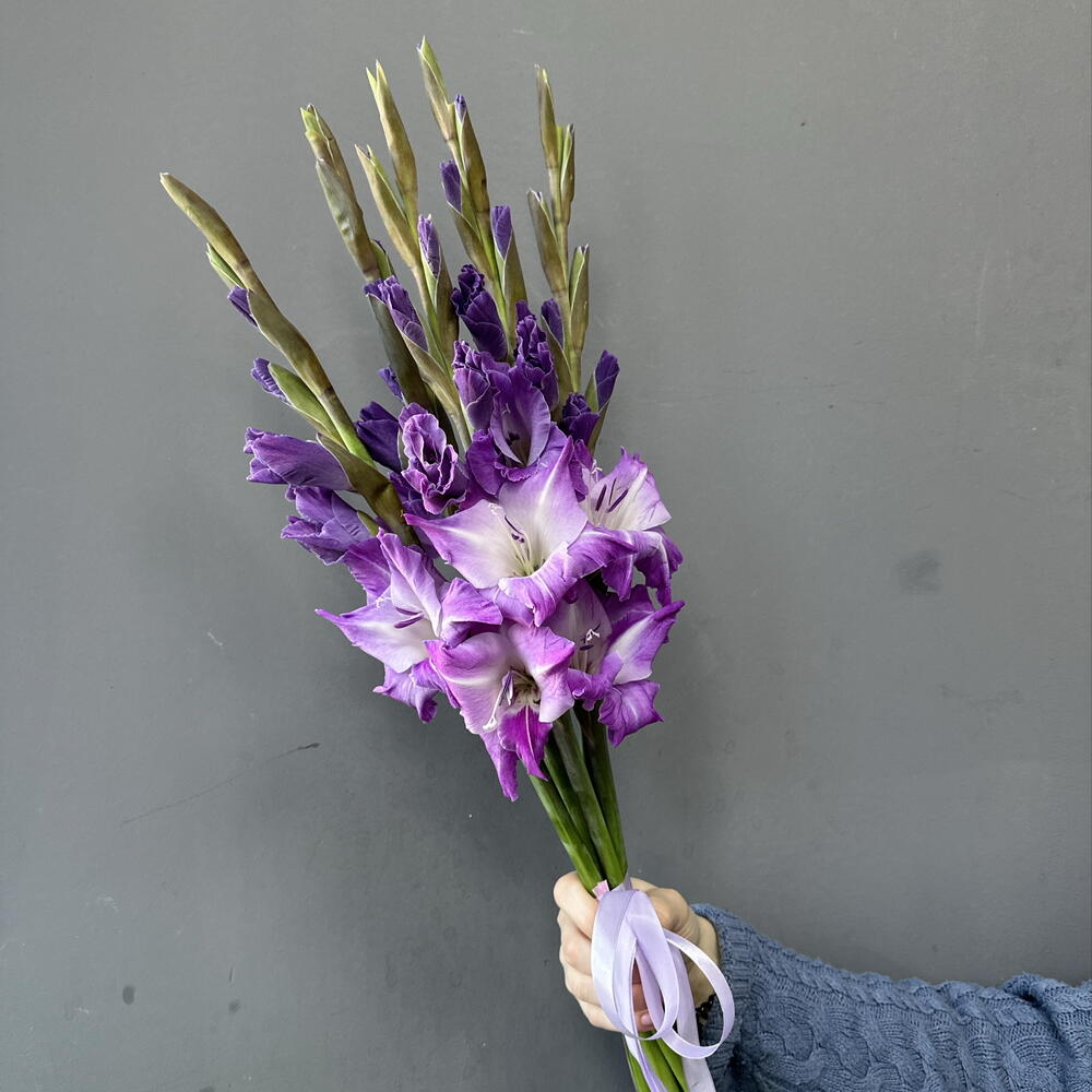 Гладиолусы 5 шт💜
