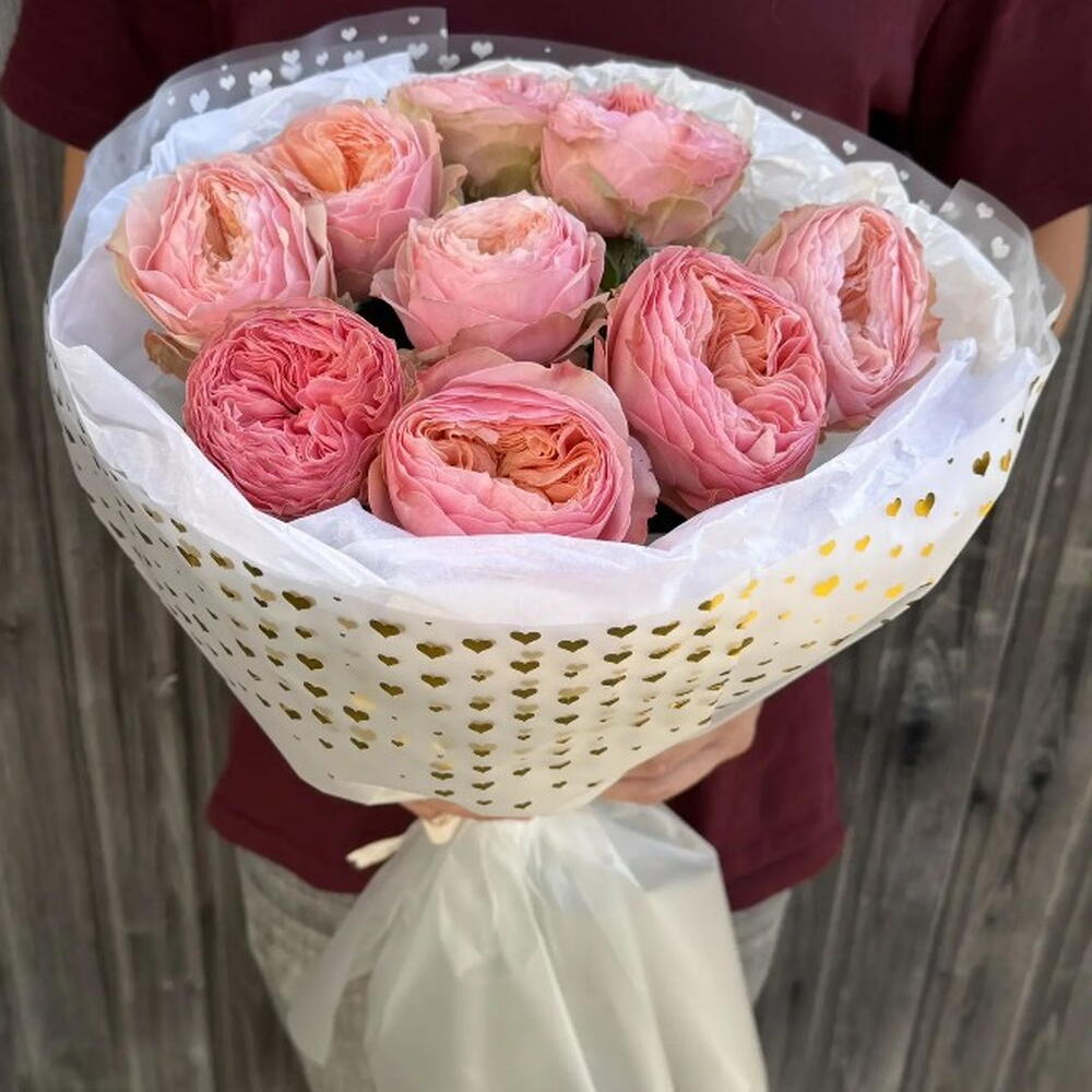 Пиончики🌸😍