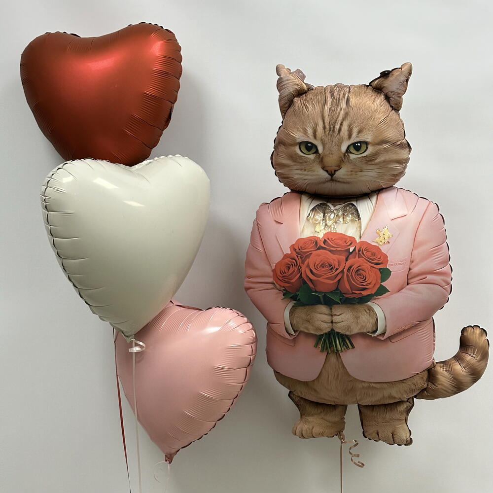Шарики с котом котик с сердцами
