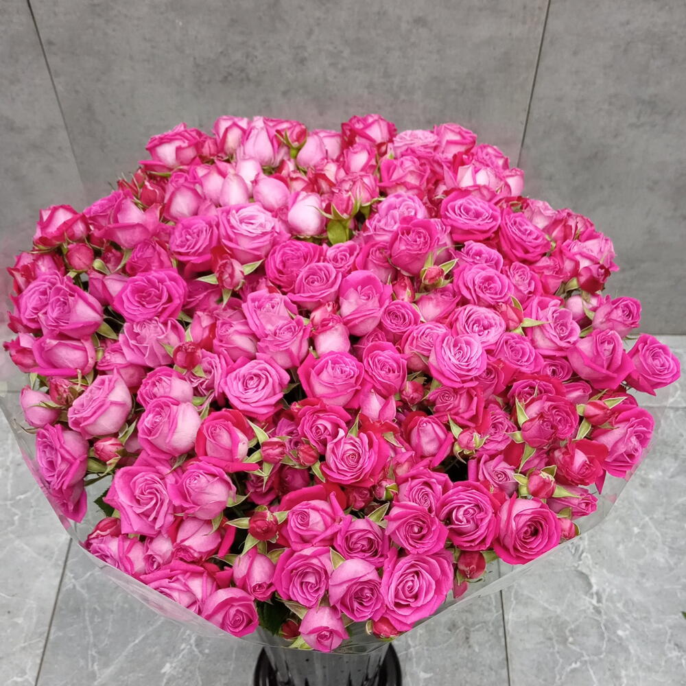 Мини пиончик и 51