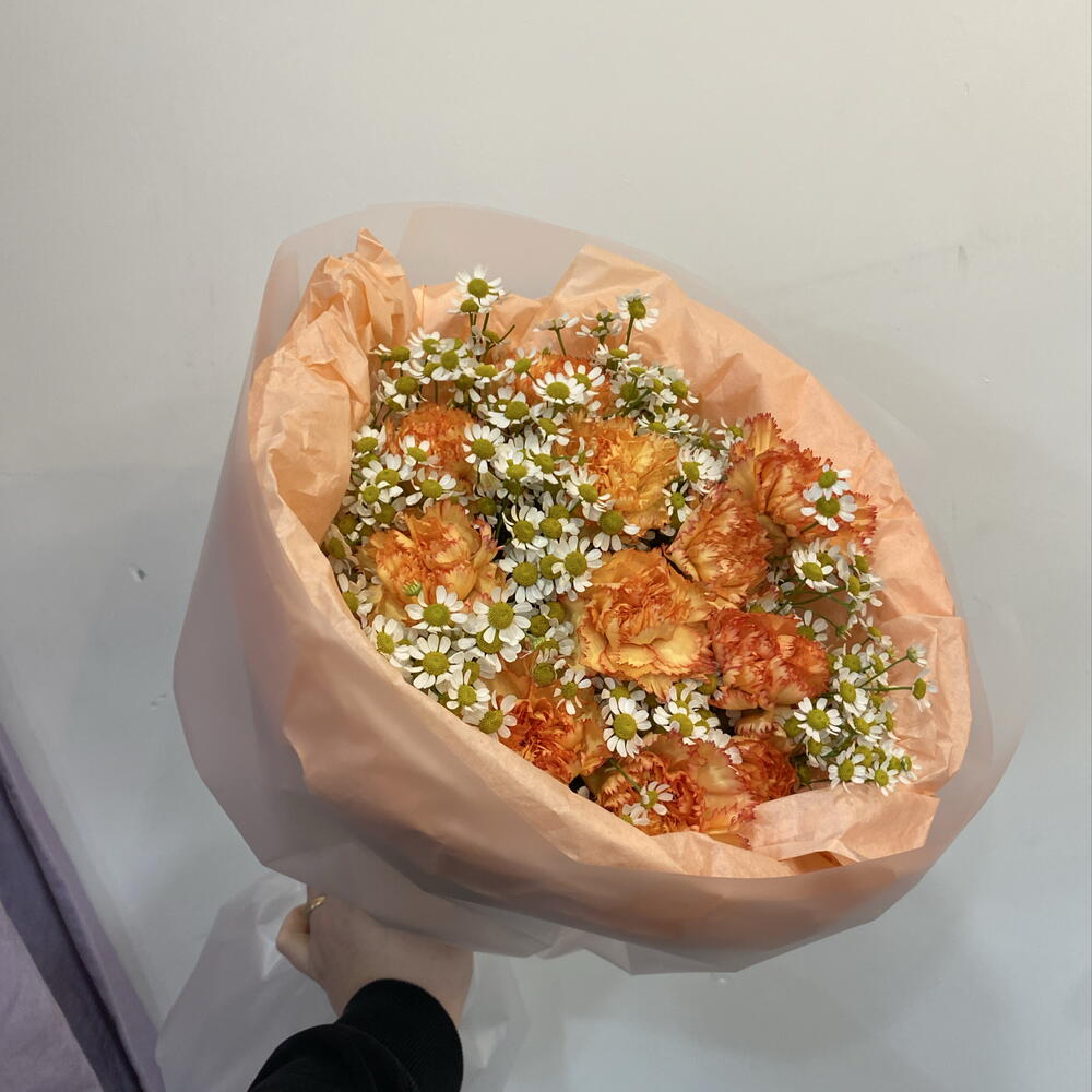 Ромашка диантус