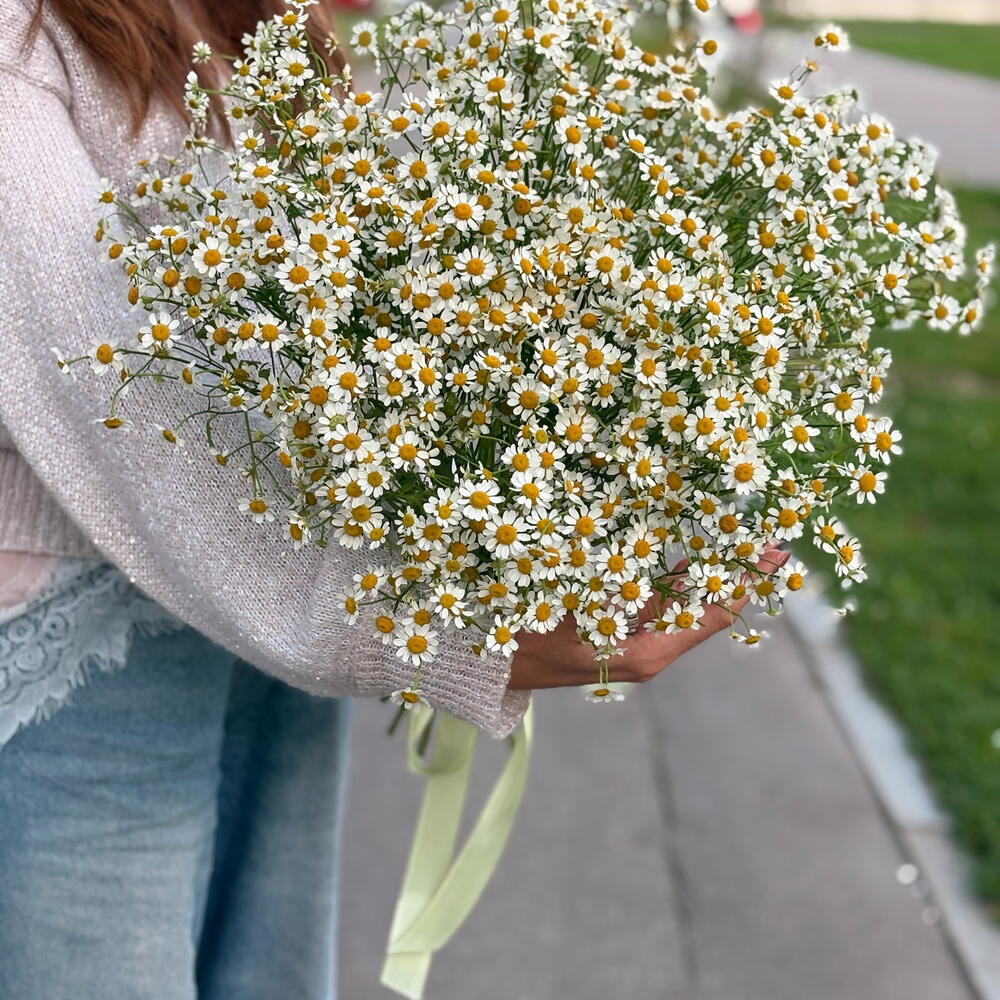 Букет ромашек