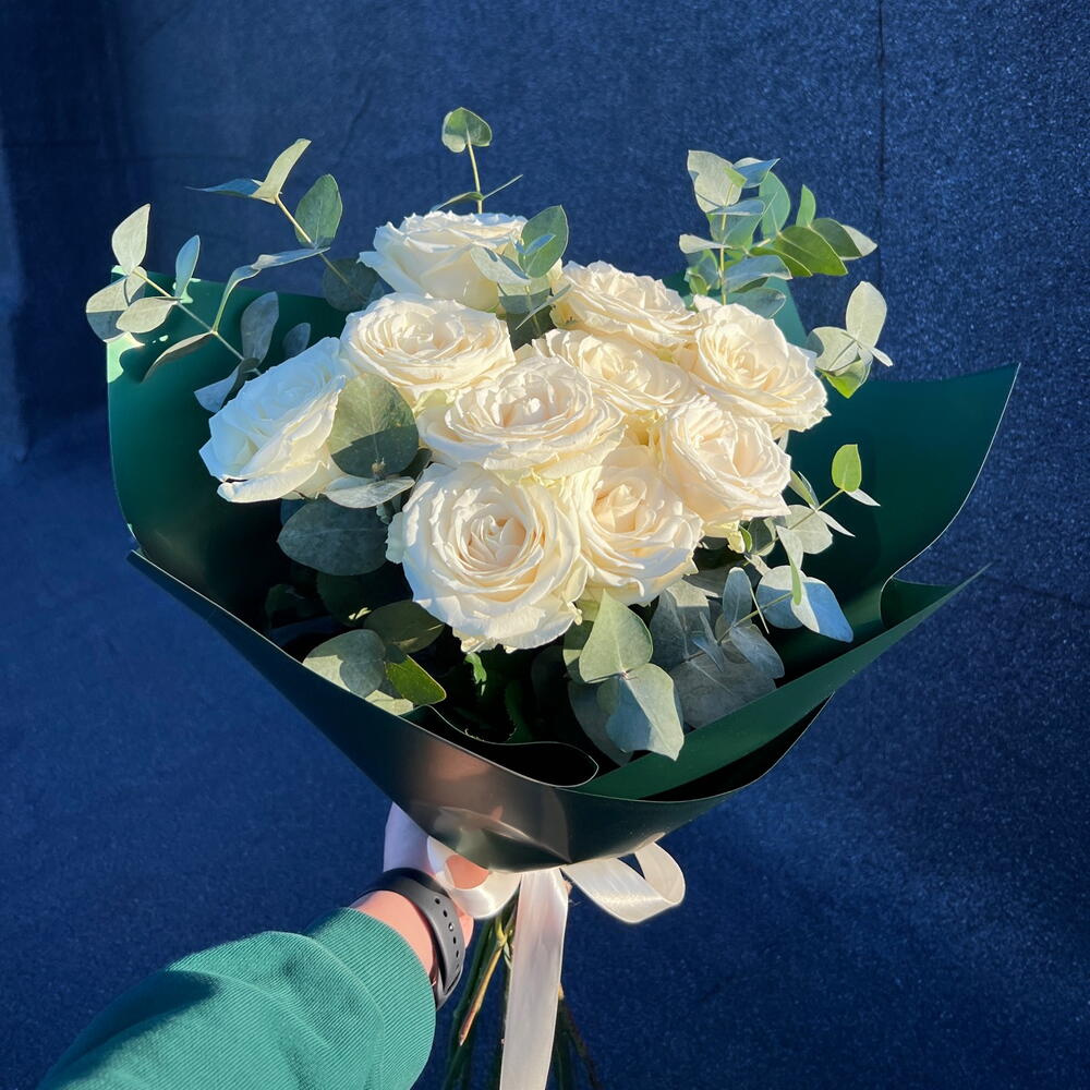 White rose 🤍