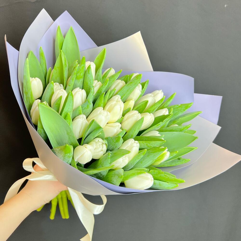 Белые тюльпаны 🌷