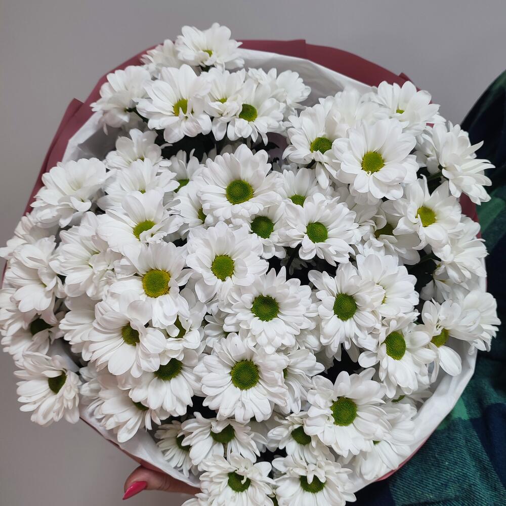 Букет с ромашками 102