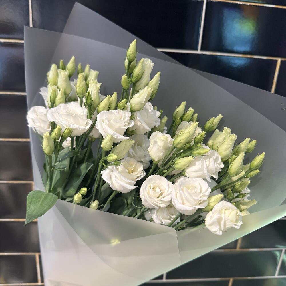 Eustoma