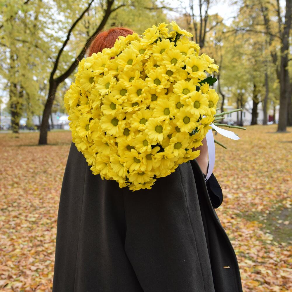 Bouquet of 7 yellow chrysanthemums