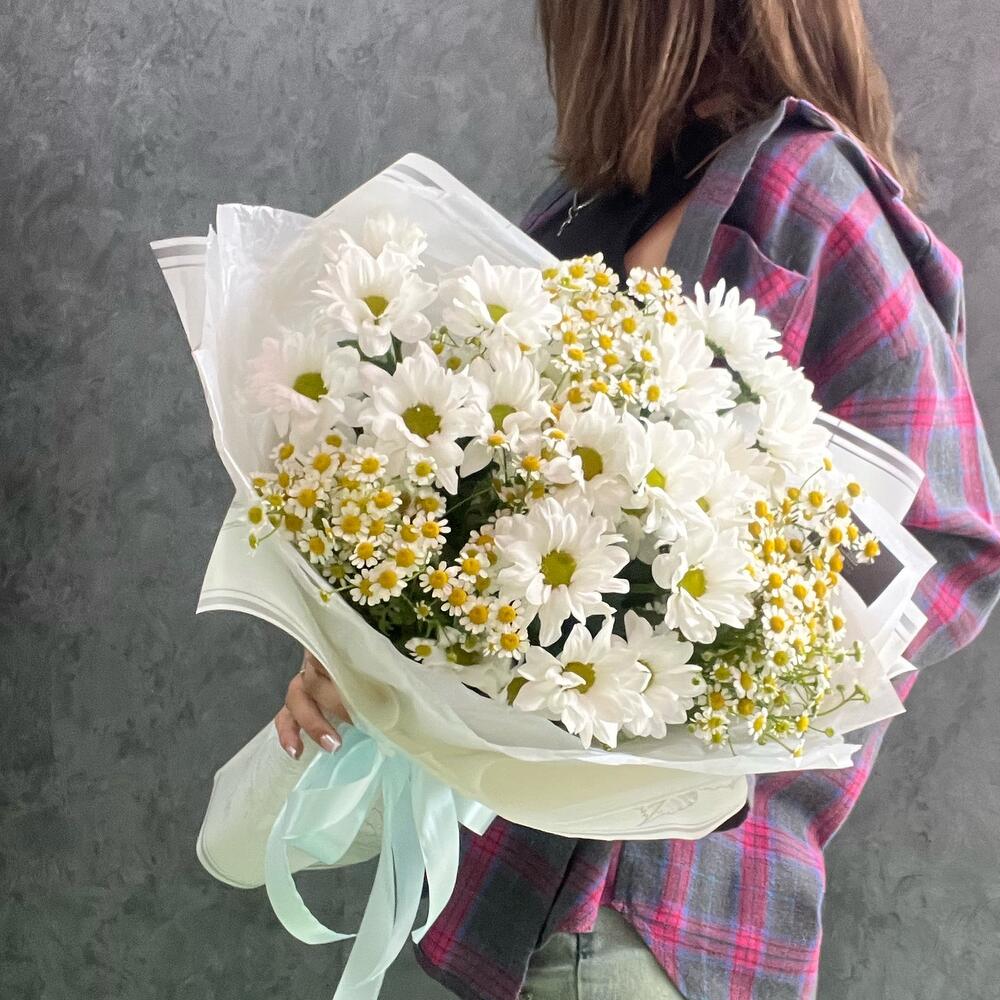Daisies and gypsophila