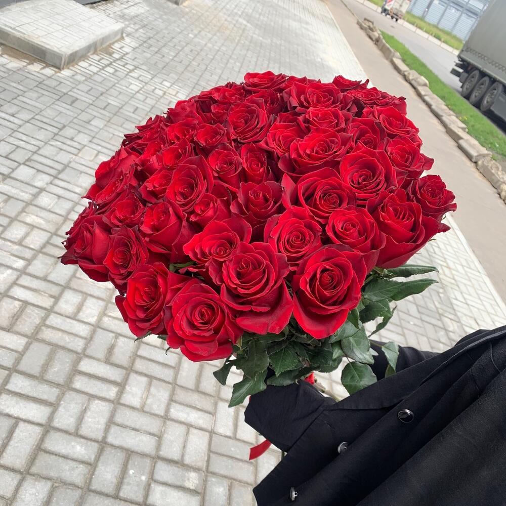 Роза Эксплорер 51 шт