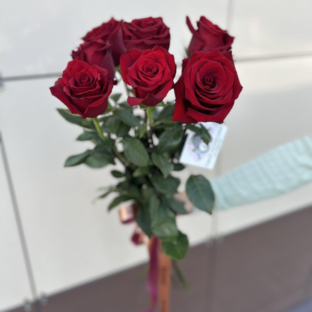 7 красных роз под ленту
