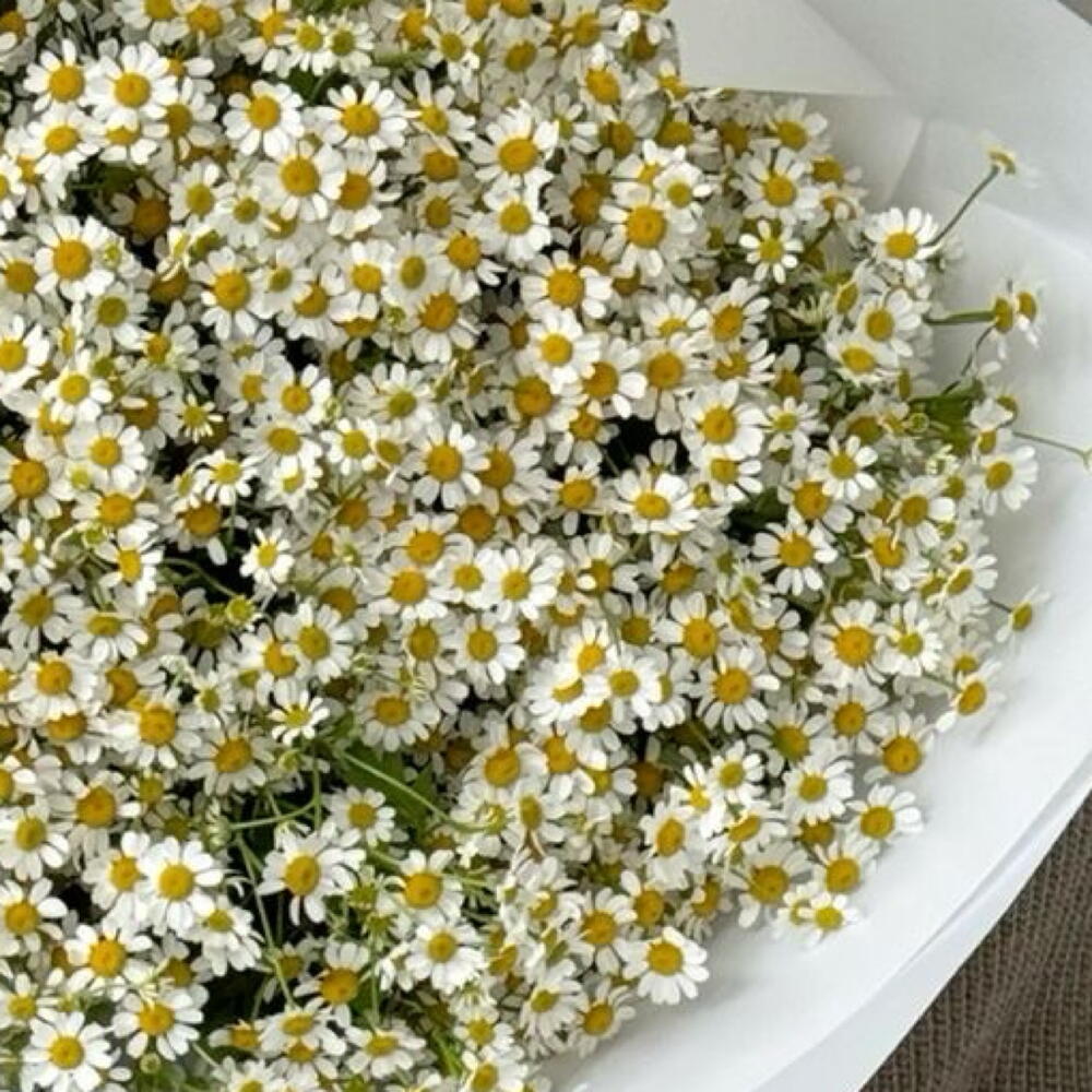 Воздушный букет из полевых ромашек 🌼