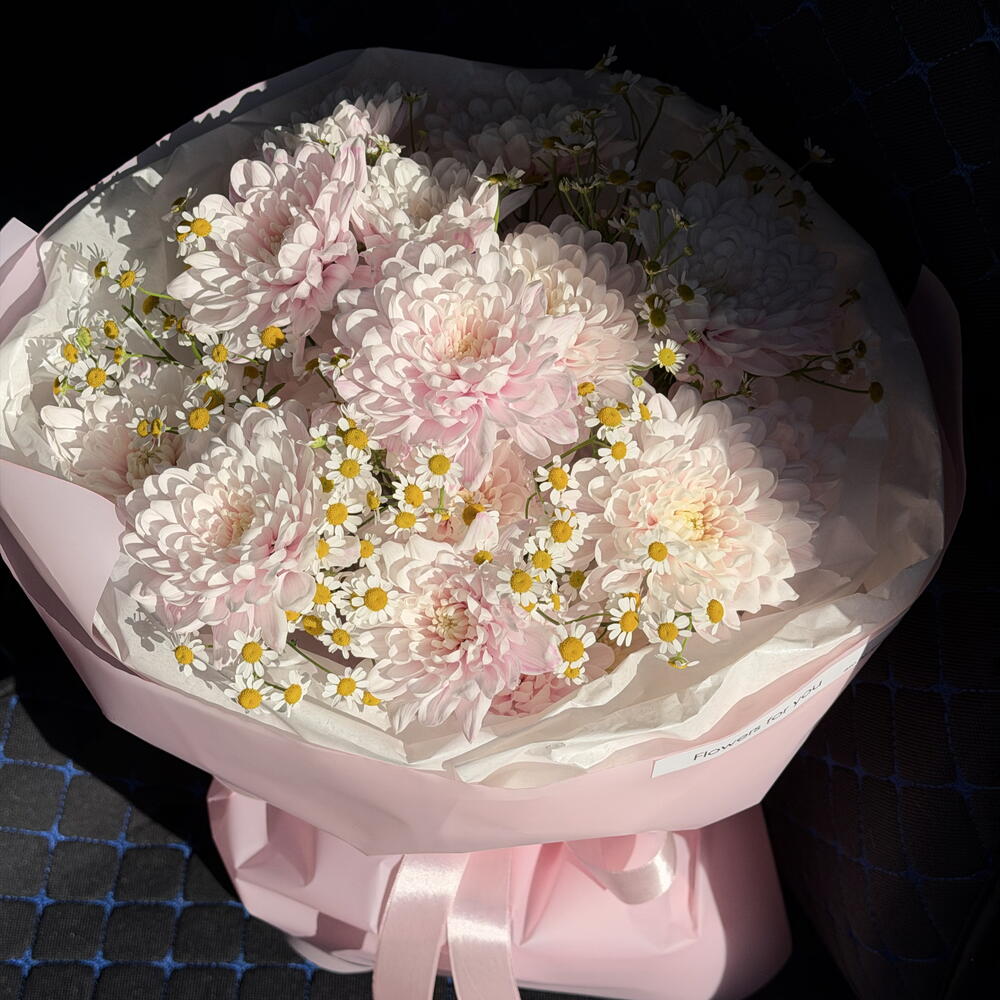 Ромашковое поле яркое настроение