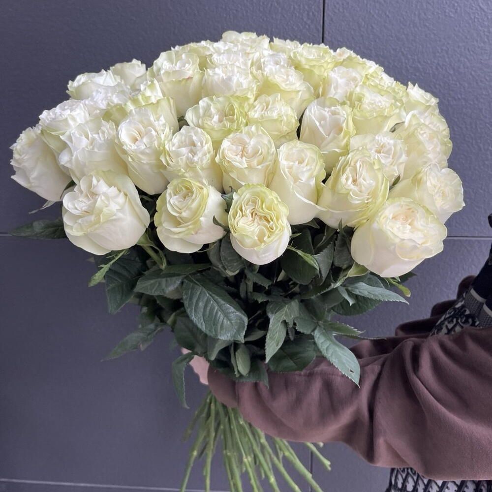 Крупные белые розы