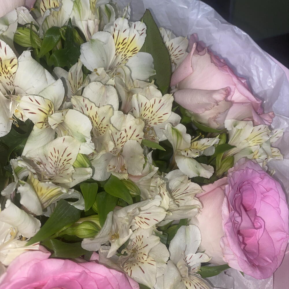 Альстромерия белая с розой
