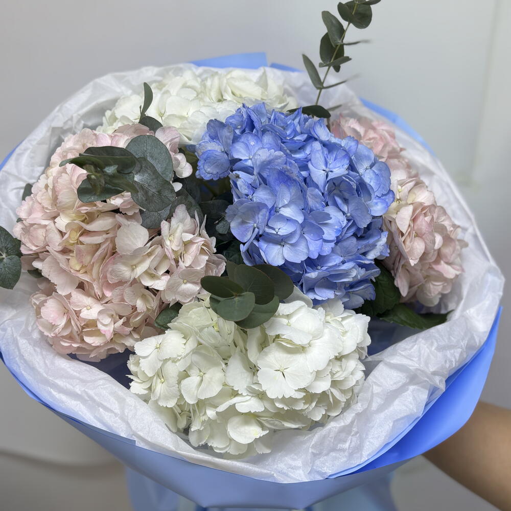 Bouquet of hydrangeas