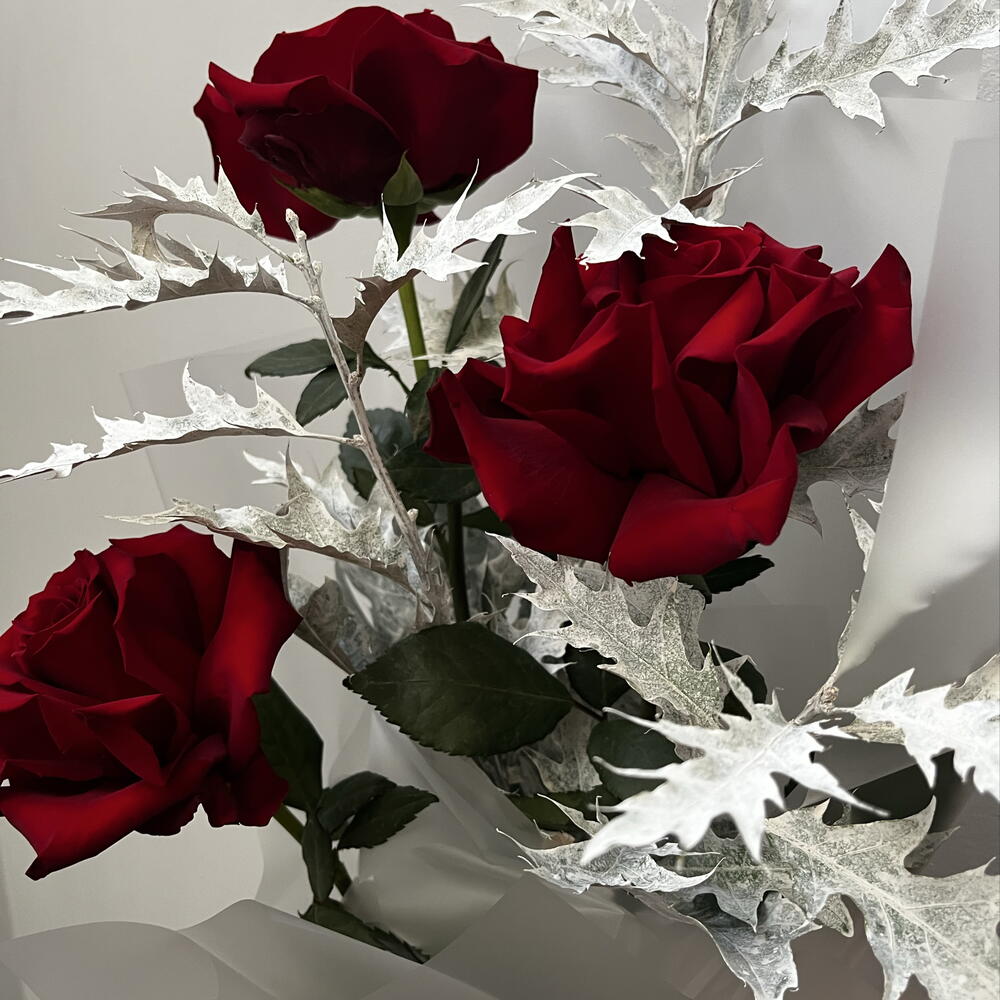 Букет - Алый и серебряный 💐