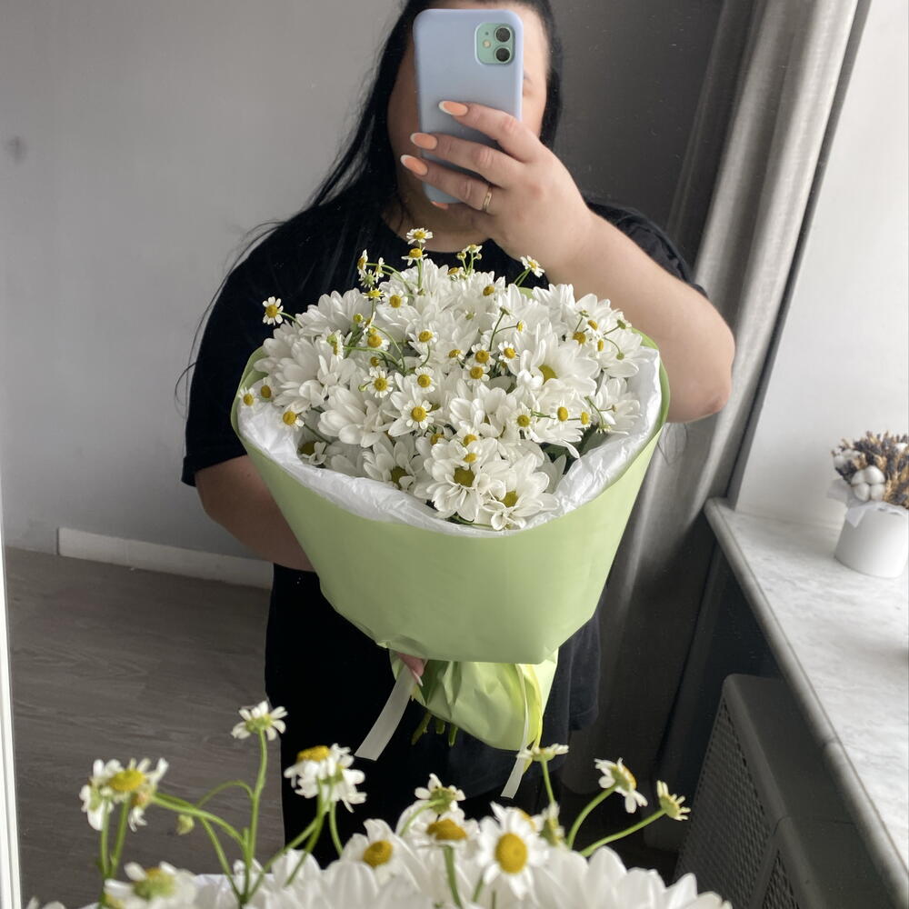 Ромашки