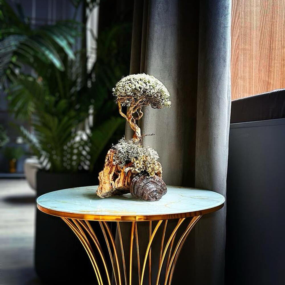 «Whisper of Alatau» — handmade decorative indoor tree by Cetraria