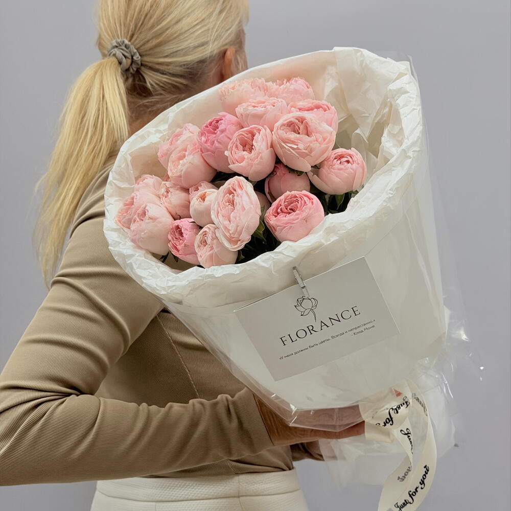 Пион роза « Softness»