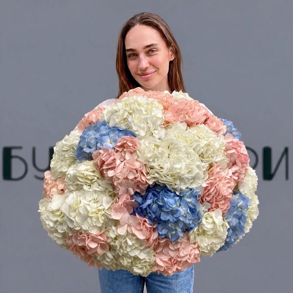 Букет 25 Гортензий микс на ленте