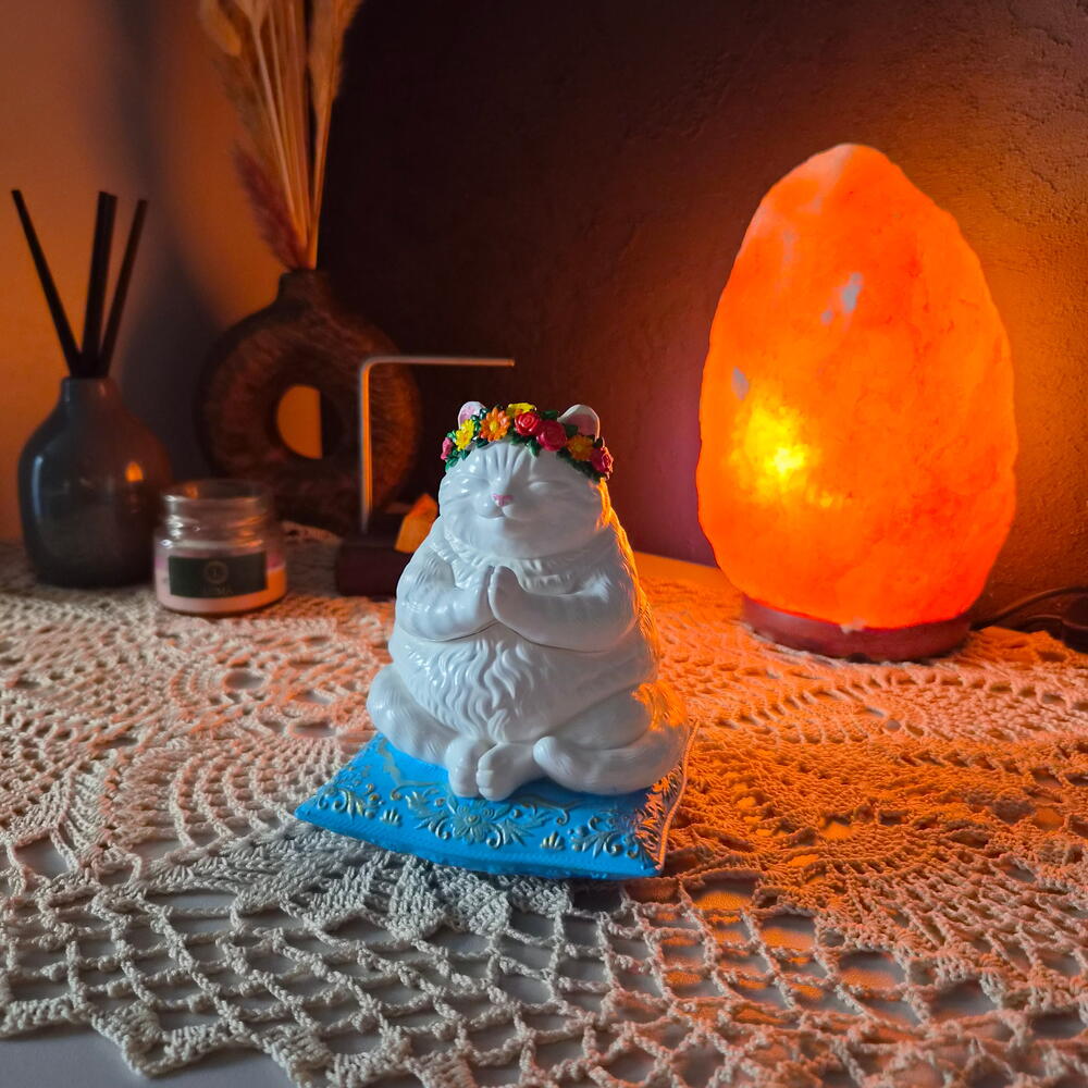 Кот - Дзен