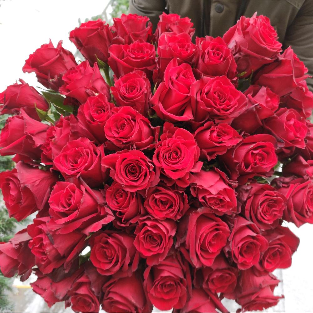51 roses 🌹