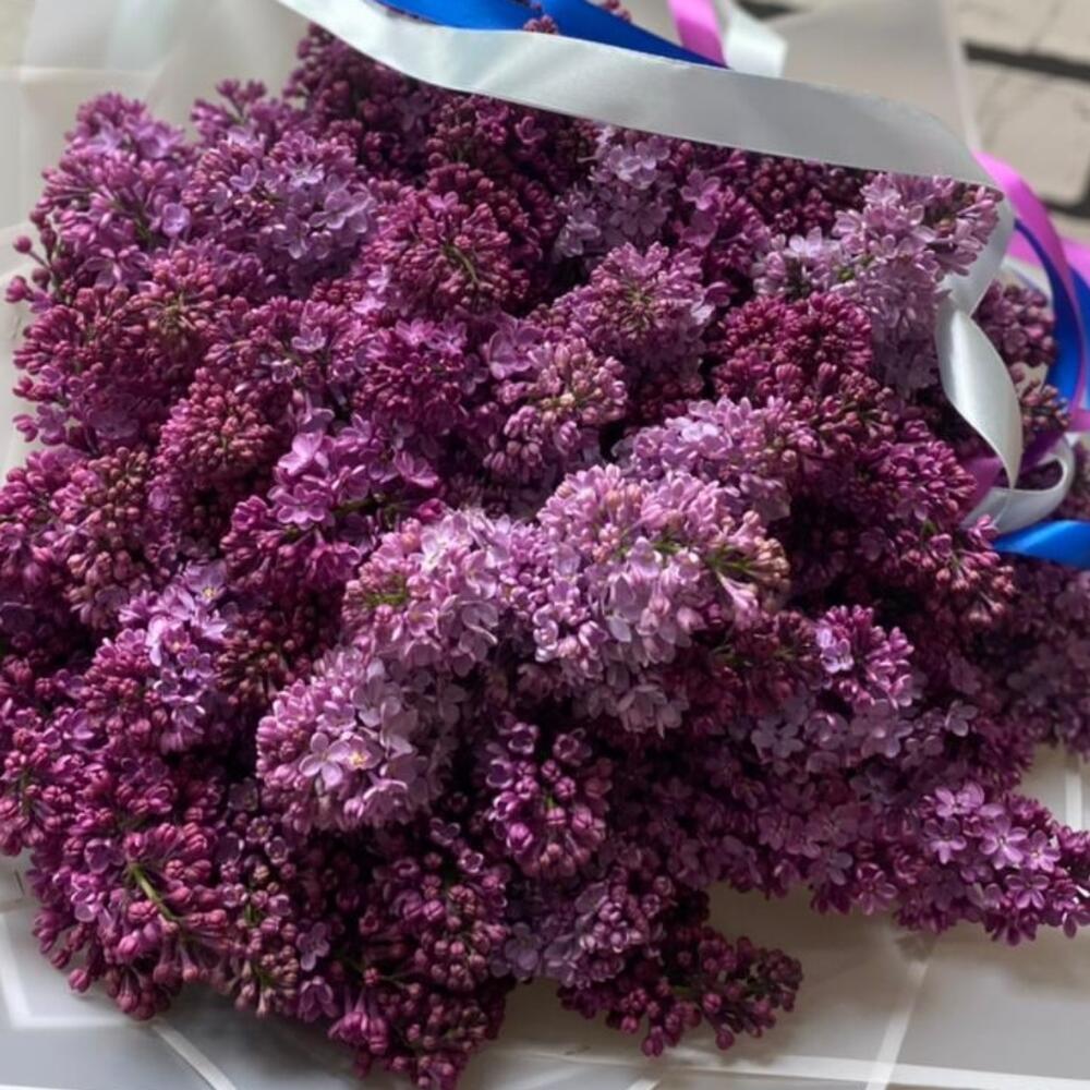 Букет сирени