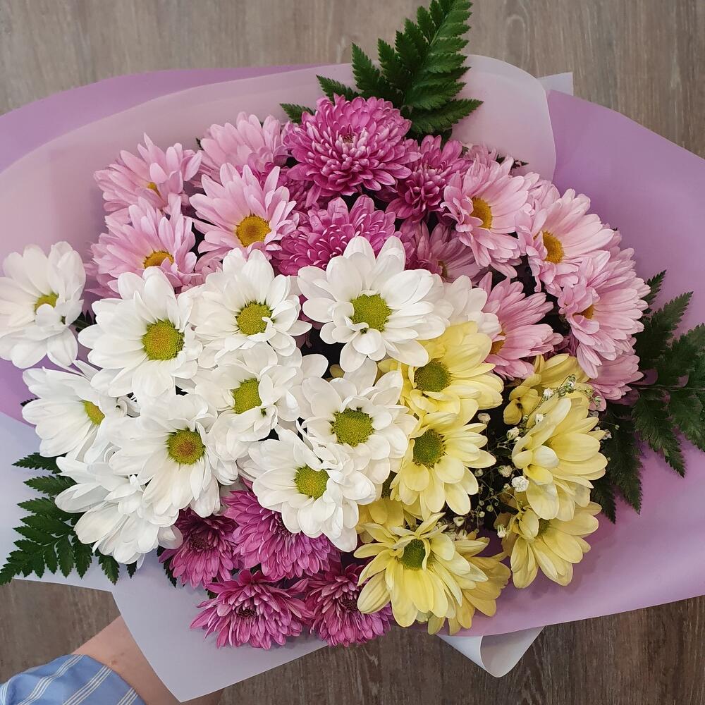 Chrysanthemum