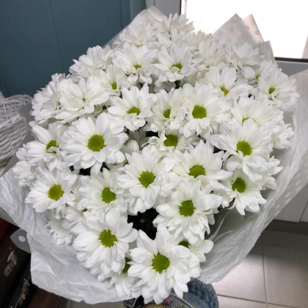 Ромашковая поляна