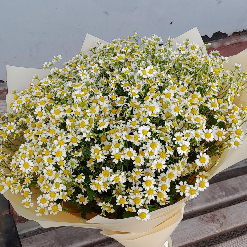 Букет из 25 кустовых ромашек