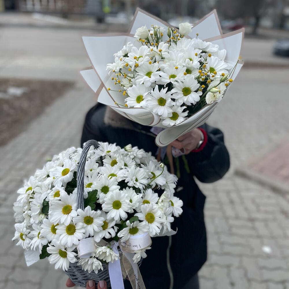 Ромашковое поле
