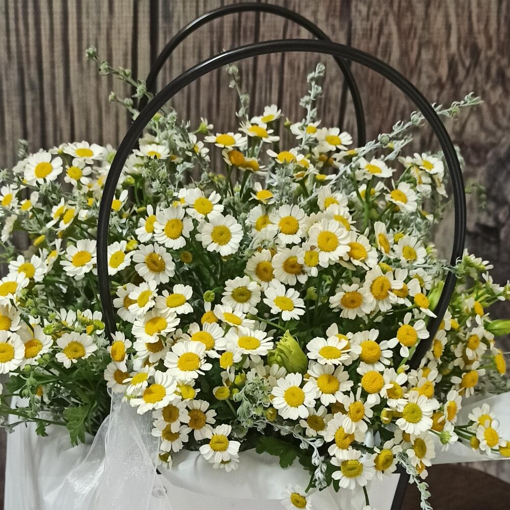 Ромашки в сумочке