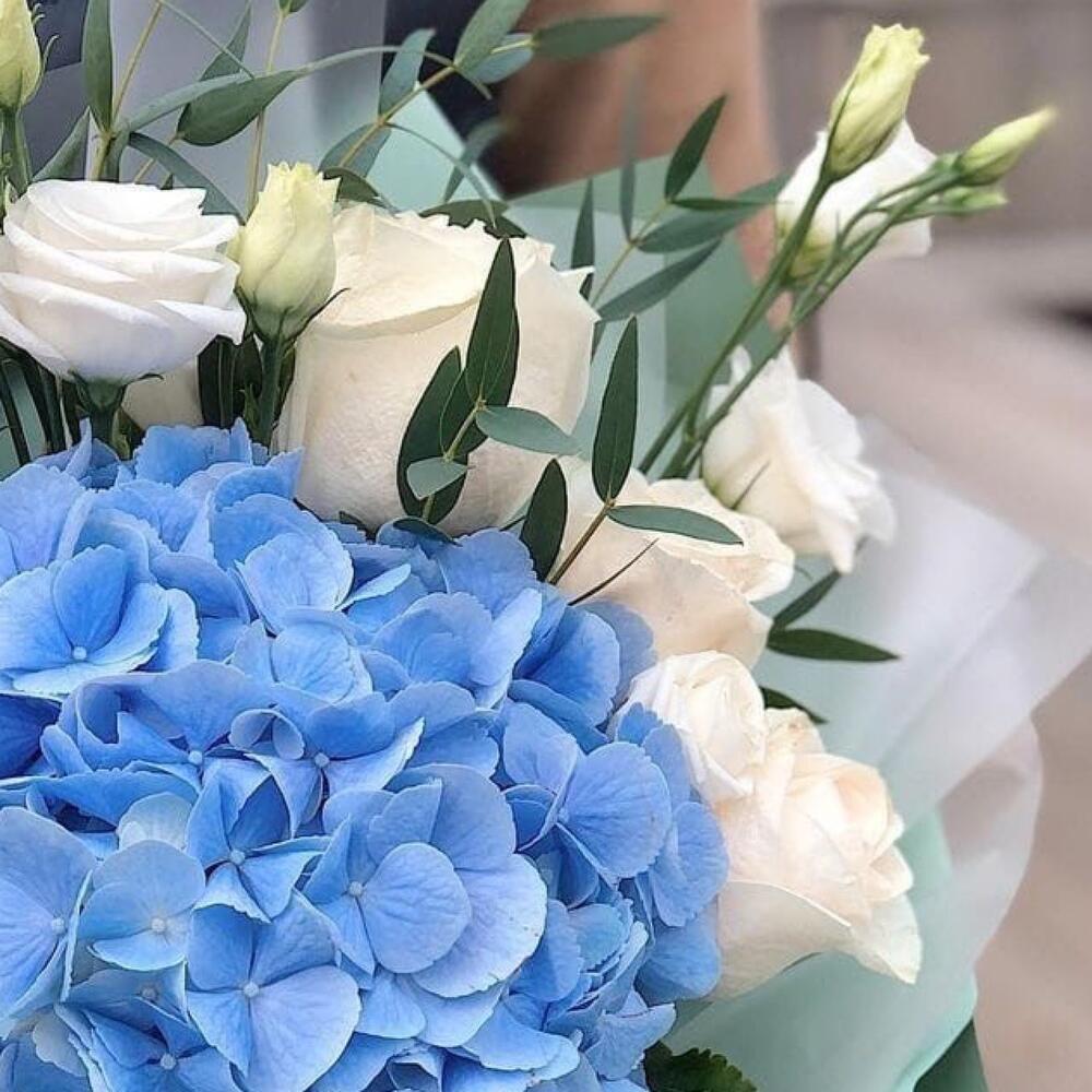 Soft blue
