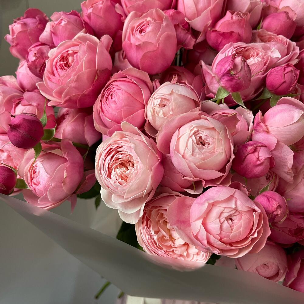 15 кустовых пионовидных роз🌸