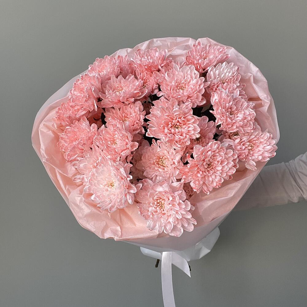 5 розовых хризантем🩷🌸