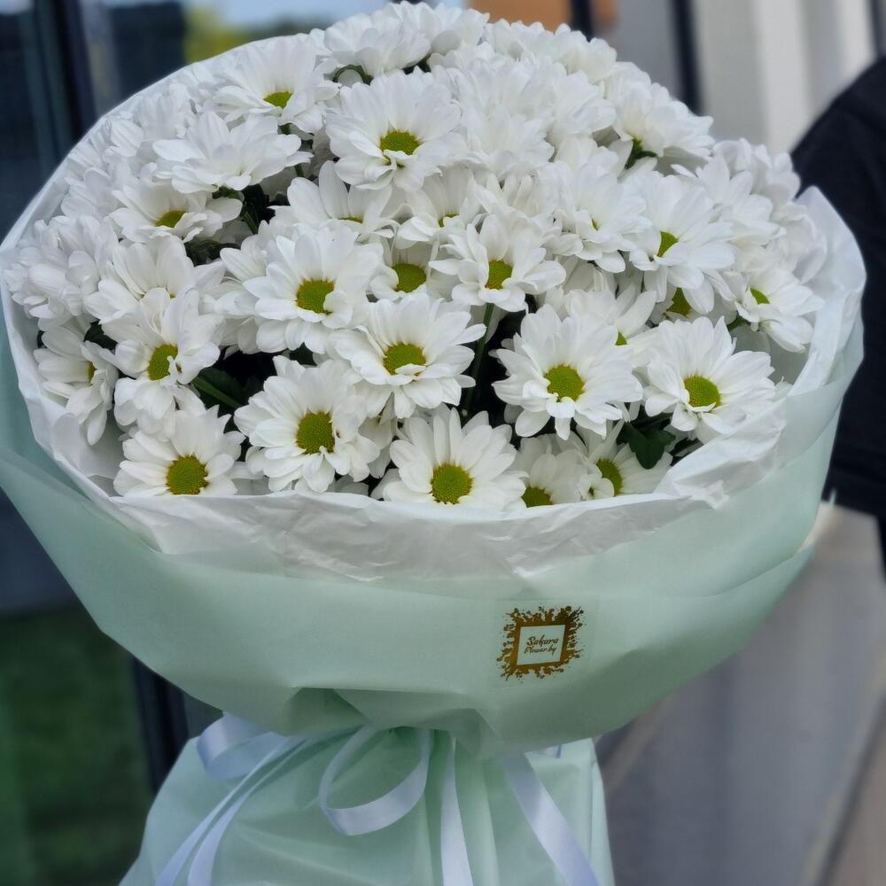 Ромашковая поляна. Романтичный и нежный
