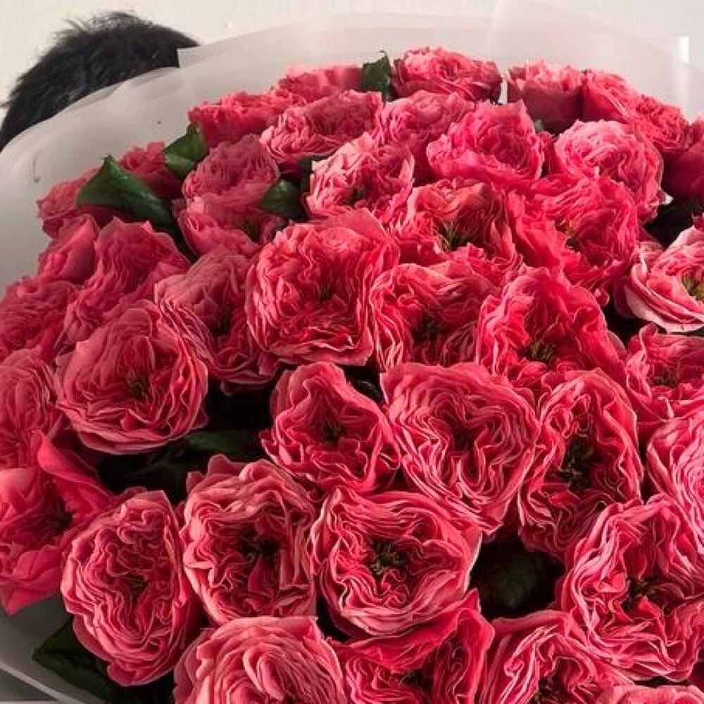 Пионовидные розы   🌹