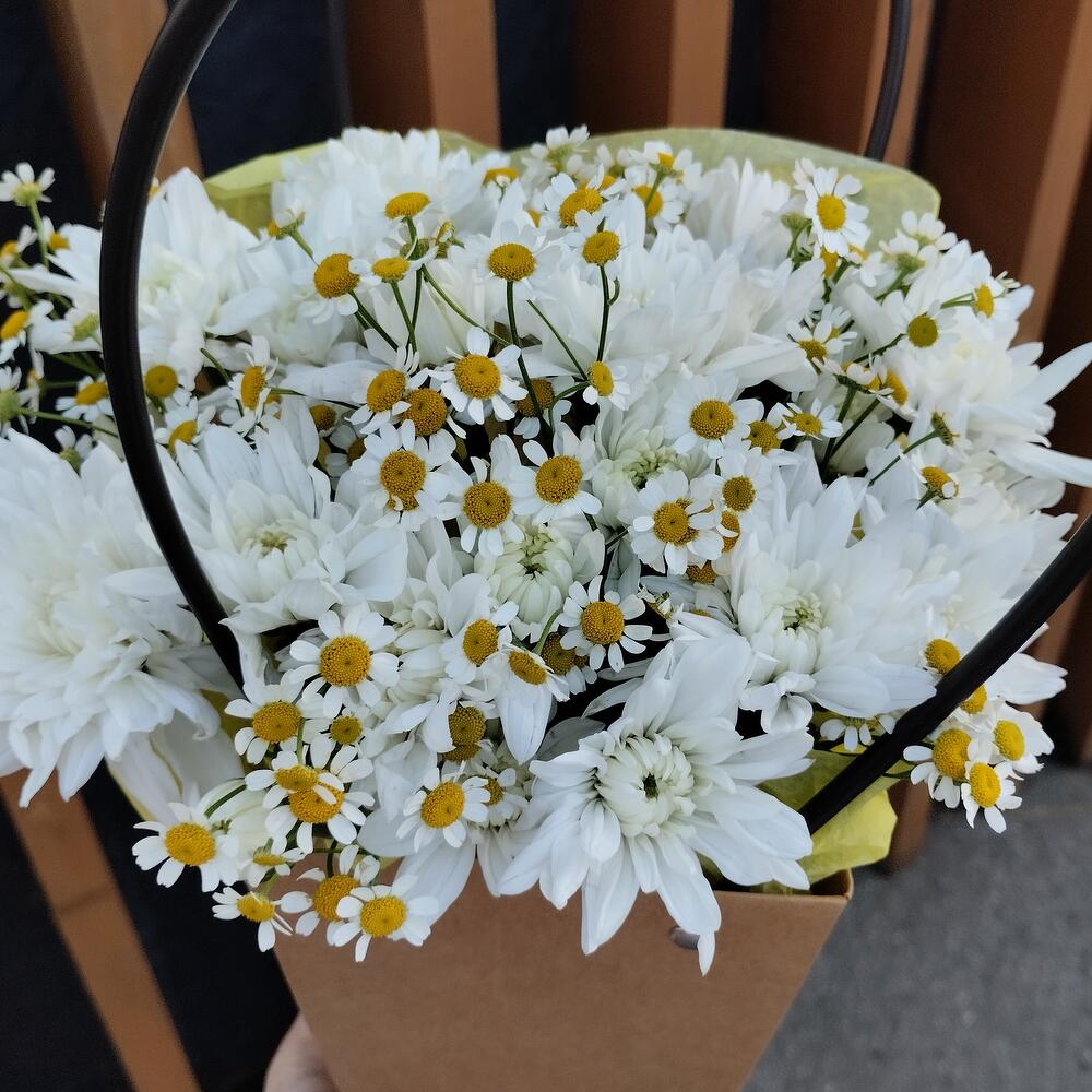 Комплимент Летний