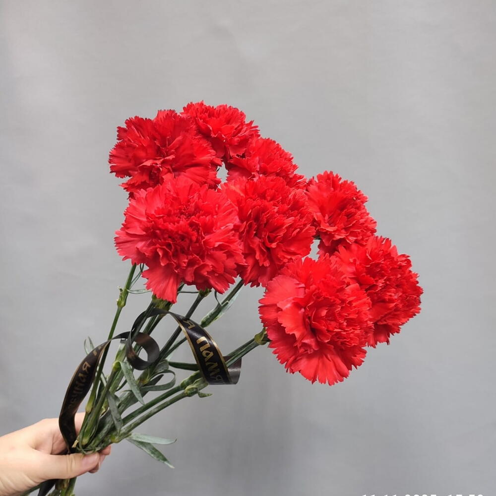 8 красных гвоздик