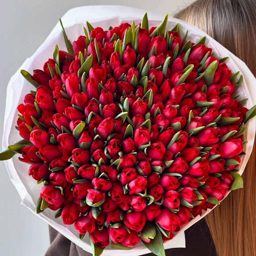Тюльпан 🌷 151