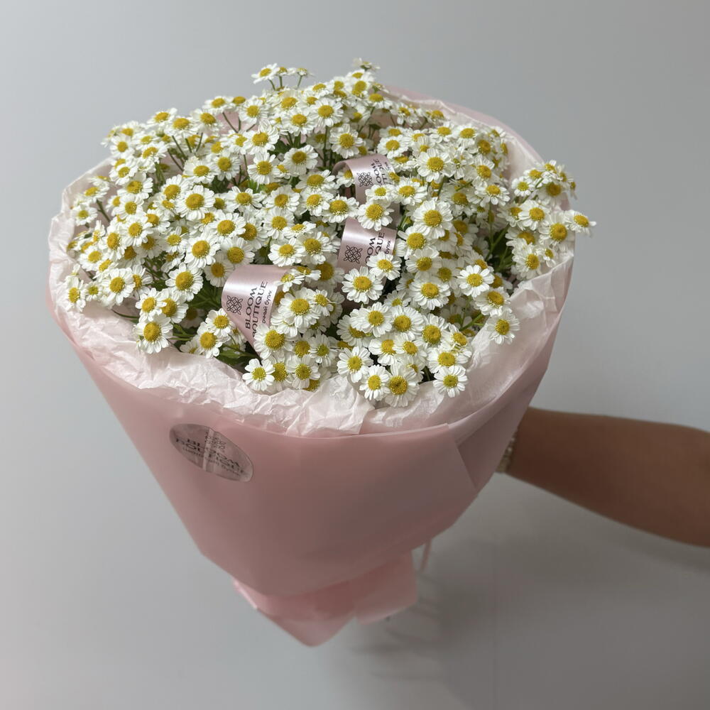 Яркие мечты